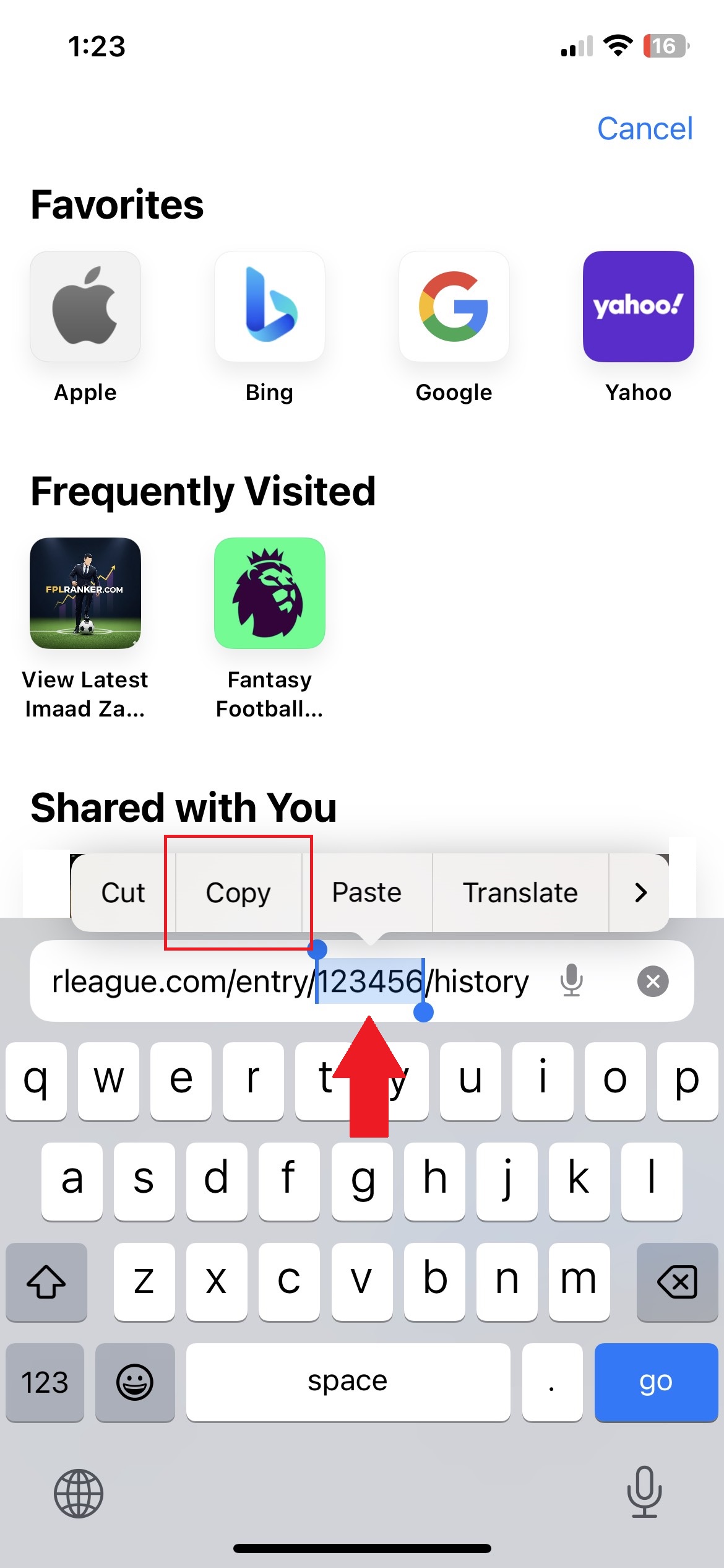 Copy your Team ID